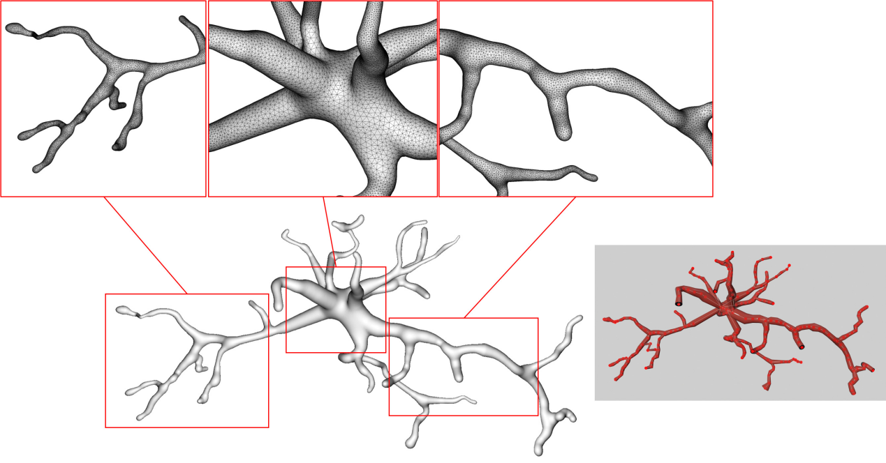 廣東省智能院研究團隊提出神經元形态結構表面模型生(shēng)成方法