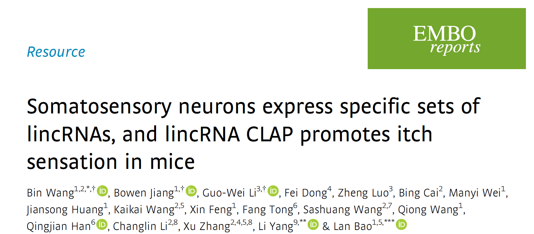 廣東省智能院研究團隊揭示初級感覺神經元中(zhōng)細胞類型特異性lincRNA的分(fēn)布及其在癢覺傳遞中(zhōng)的功能